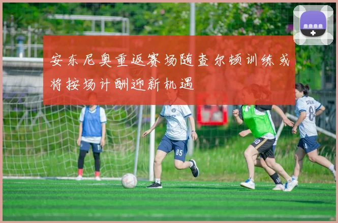 安东尼奥重返赛场随查尔顿训练或将按场计酬迎新机遇