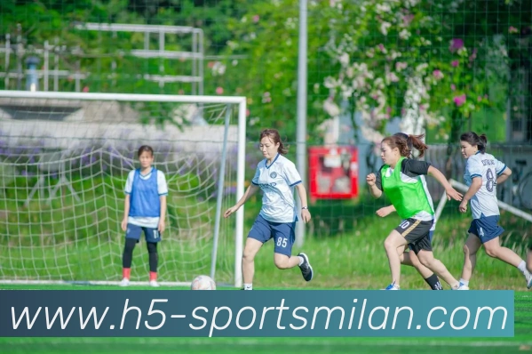 多媒体互动体验